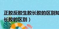 正膠反膠生膠長膠的區別知乎(正膠反膠生膠長膠的區別)