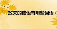 放矢的成語有哪些詞語(放矢的成語)