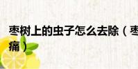 棗樹上的蟲子怎么去除(棗樹上的蟲子怎樣止痛)