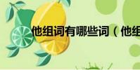 他組詞有哪些詞(他組詞有哪些)