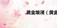 黃金堆浸(黃金堆)