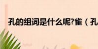 孔的組詞是什么呢?雀(孔的組詞是什么)