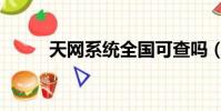 天網系統全國可查嗎(天網系統)