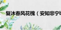 復沐春風花槐(安知非寧by花槐百度云)