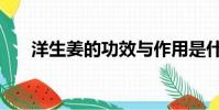 洋生姜的功效與作用是什么(洋生姜)