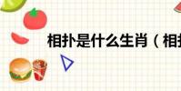 相撲是什么生肖(相撲是什么)