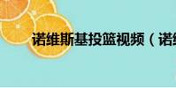 諾維斯基投籃視頻(諾維斯基投籃)