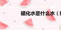 磁化水是什么水(磁化水)