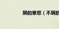 屑的意思(不屑的意思)