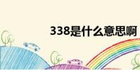 338是什么意思啊(338)