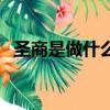 圣商是做什么的（圣商大家族靠什么盈利）