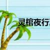 靈棺夜行冥王是誰（名瞳靈棺夜行）
