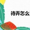待弄怎么讀音是什么（待弄的意思）