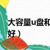 大容量u盤和移動硬盤哪個好（移動硬盤哪個好）