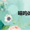 喵嗚體是什么樣的（喵嗚體）