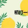 稻打一字是什么字（稻打一字）