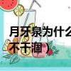 月牙泉為什么不會被沙漠吞掉（月牙泉為什么不干涸）