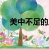 美中不足的反義詞（美中不足的近義詞）