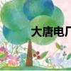 大唐電廠人員曬工資（大唐電廠）