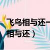 飛鳥相與還一句包含著怎樣的類比意義（飛鳥相與還）