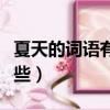 夏天的詞語有哪些四字成語（夏天的詞語有哪些）