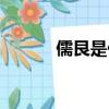 儒艮是什么動物（儒艮是什么）