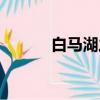 白馬湖之冬作者（白馬湖之冬）