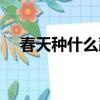 春天種什么蔬菜水果（春天種什么蔬菜）