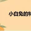 小白兔的特點和本領（小白兔的特點）