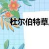 杜爾伯特草原旅游攻略（杜爾伯特草原）