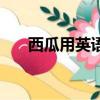 西瓜用英語怎么說（梨用英語怎么說）