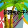 新疆拉條子的做法視頻炒（新疆拉條子的做法）