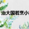 治大國若烹小鮮什么意思（治大國若烹小鮮）