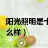 陽光照明是十大照明品牌嗎（陽光照明質量怎么樣）