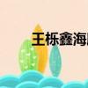 王櫟鑫海豚音舞蹈（王櫟鑫海豚音）