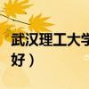 武漢理工大學算好學校嗎（武漢理工大學好不好）