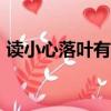 讀小心落葉有感600字（小心落葉閱讀答案）