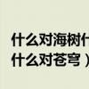 什么對海樹什么對蒼穹是什么歌（什么對海樹什么對蒼穹）