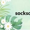 sockscap官網（sockscapv2）