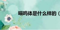 喵嗚體是什么樣的(喵嗚體)