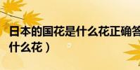 日本的國花是什么花正確答案(日本的國花是什么花)
