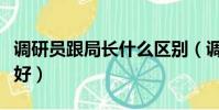 調研員跟局長什么區別(調研員和副局長哪個好)