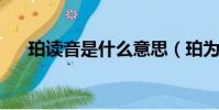 珀讀音是什么意思(珀為什么都讀bo)