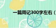 一篇周記300字左右(一篇周記)