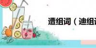 遭組詞(迪組詞)