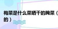 梅菜是什么菜曬干的腌菜(梅菜是什么菜曬干的)