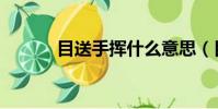 目送手揮什么意思(目送手揮)