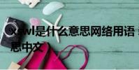 xswl是什么意思網絡用語 新聞(xswl什么意思中文)