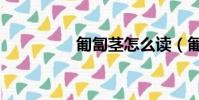匍匐莖怎么讀(匍匐莖)