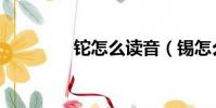鉈怎么讀音(錫怎么讀音)